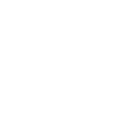 Fan Support Icon