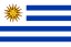 URY Flag