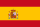 ESP Flag